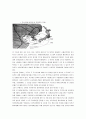 경제학_지역-BJFZ_부산진해자유구역청의 모든것 25페이지