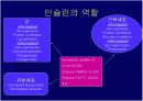 [당뇨][당뇨급성합병증] 당뇨병의 급성합병증 교육자료 ppt 파워포인트  3페이지