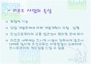 [사업 / 창업계획서] 행복 리조트(펜션) 사업계획  5페이지