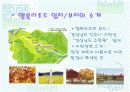 [사업 / 창업계획서] 행복 리조트(펜션) 사업계획  12페이지