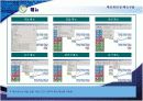 CRM 보고서(발표용) 29페이지