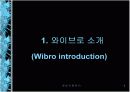 유비쿼터스 세상으로 가는 IT 839전략 와이브로(WiBro)  3페이지