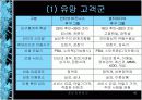 유비쿼터스 세상으로 가는 IT 839전략 와이브로(WiBro)  45페이지