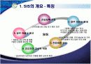 전략정보시스템(SIS) 6페이지