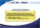 전략정보시스템(SIS) 12페이지
