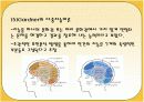 교육학개론-인간의 지능, 인습, 인지, 도덕과 교육 14페이지