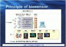 바이오센서 6페이지
