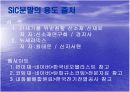 탄화규소 분말의 용도 4페이지