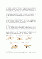 [마케팅]미스터도넛 마케팅전략 분석 및 향후 발전전략 (A+리포트) 14페이지