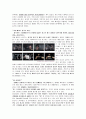 [브랜드마케팅]현대카드 마케팅전략 및 성공요인 분석 12페이지
