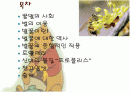바이오소재 산업으로의 꿀벌 2페이지