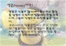 바이오소재 산업으로의 꿀벌 5페이지