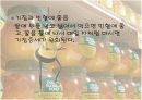 바이오소재 산업으로의 꿀벌 10페이지
