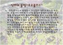 바이오소재 산업으로의 꿀벌 14페이지