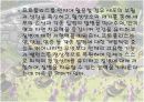 바이오소재 산업으로의 꿀벌 15페이지