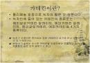 녹차에 관한 조사 발표 11페이지