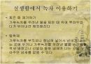 녹차에 관한 조사 발표 16페이지