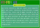 장애의 진단과 판정   29페이지