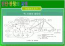 장애의 진단과 판정   31페이지