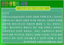 장애의 진단과 판정   41페이지