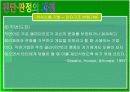 장애의 진단과 판정   52페이지