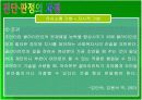 장애의 진단과 판정   60페이지