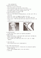 Traumatic Brain Injury(TBI) 13페이지