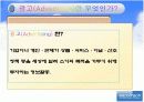 광고전략 및 분석 3페이지