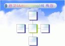 광고전략 및 분석 5페이지