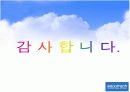 광고전략 및 분석 16페이지