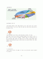 [벤처창업론]호텔 사업계획서 (A+리포트) 29페이지