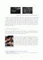 네크로필리아(Necrophilia)와 에로티시즘 4페이지