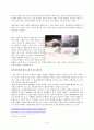 네크로필리아(Necrophilia)와 에로티시즘 9페이지
