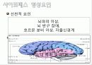 사이코패스에 대하여 - 사이코패스 정의, 특성, 역사속 사이코패스, 강호순, 작품속 사이코패스, 사전예방, 사후대책 5페이지