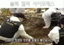 사이코패스에 대하여 - 사이코패스 정의, 특성, 역사속 사이코패스, 강호순, 작품속 사이코패스, 사전예방, 사후대책 12페이지