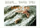 사이코패스에 대하여 - 사이코패스 정의, 특성, 역사속 사이코패스, 강호순, 작품속 사이코패스, 사전예방, 사후대책 20페이지