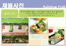 창업 사업계획서 레인보우 후르츠 16페이지