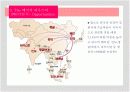 THE 베이직 하우스 국내외 분석 PPT 19페이지
