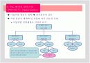THE 베이직 하우스 국내외 분석 PPT 20페이지