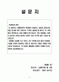 리바이스 소비자 행동 분석(설문지포함) 22페이지
