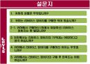 리바이스의 소비자행동분석 PPT 8페이지