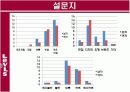 리바이스의 소비자행동분석 PPT 10페이지