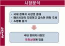 리바이스의 소비자행동분석 PPT 13페이지