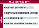 리바이스의 소비자행동분석 PPT 16페이지