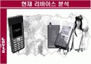 리바이스의 소비자행동분석 PPT 21페이지