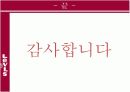 리바이스의 소비자행동분석 PPT 27페이지