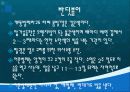 매미와 반딧불의 생태와 자원학적 가치 // 특A급 14페이지