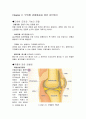 신체 활동 및 건강(고혈압) 4페이지