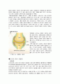 신체 활동 및 건강(고혈압) 5페이지