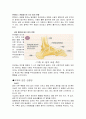 신체 활동 및 건강(고혈압) 8페이지